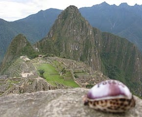 potatoatmacchupicchu