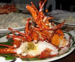 lobster feast el nido
