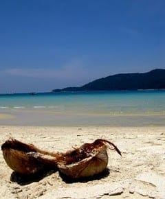 Coconut shot