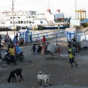 Goats, horses and total insanity - just your average port in Indonesia!