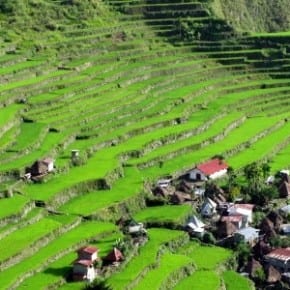 Batad Rice Terraces Philippines