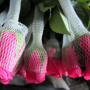 Beautiful flowers at Mingalar market in Yangon