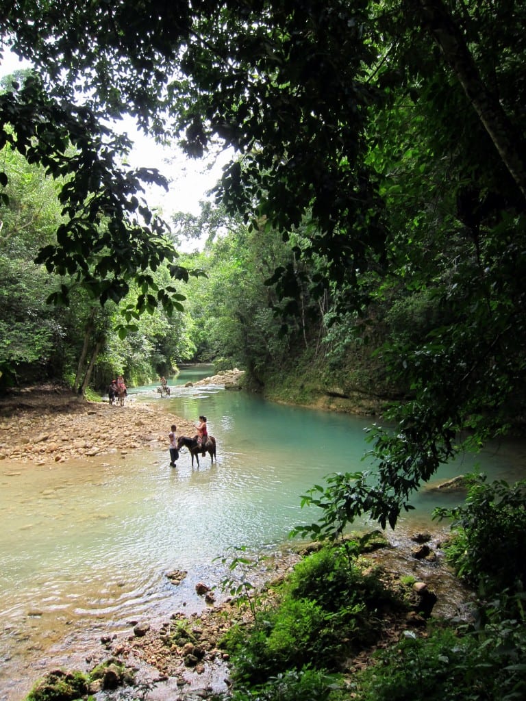 El Limon Waterfall Samana Peninsula Dominican Republic