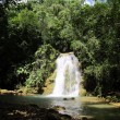 Dominican Republic: The Samaná Peninsula