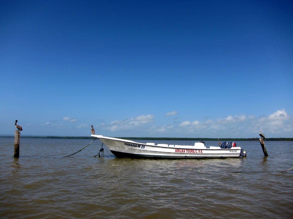 On our way to Los Haitises National Park Dominican Republic