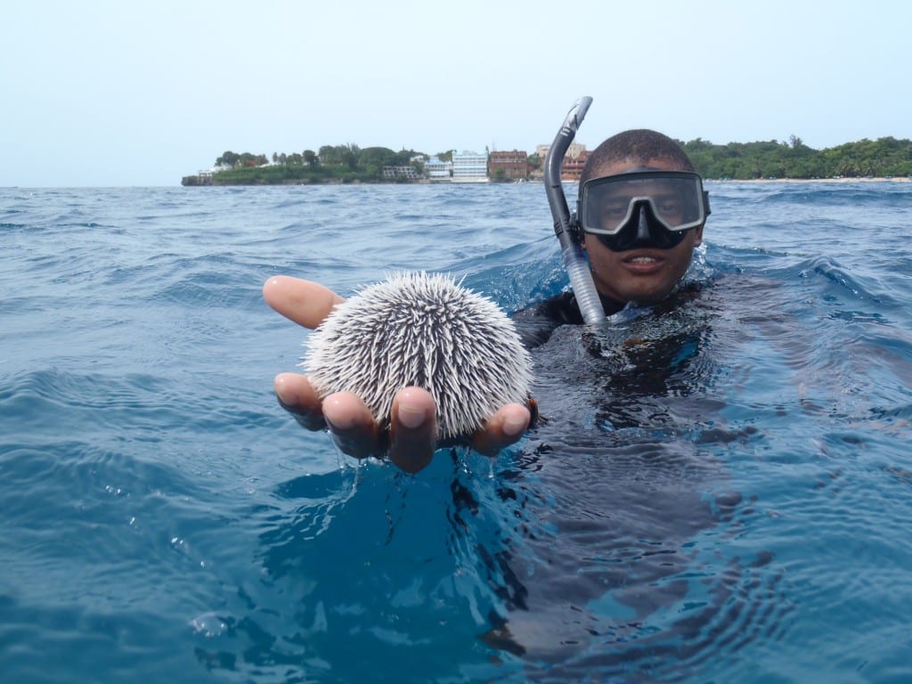 Northern Coast Aquasports guide