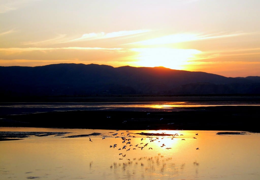 Sunset and birds over the Ayeyarwaddy river in Burma Sunset and birds over the ayeyarwaddy river in Burma