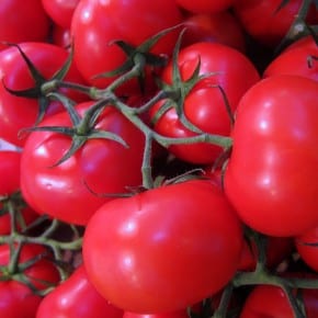 Beautiful and plump tomatoes at the Convention Market, Paris