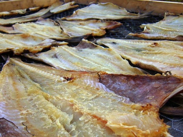 Cod drying in the sun in Newfoundland