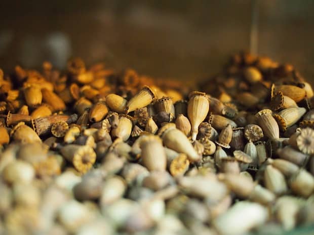 Small acorns for sale in the Meknes spice market