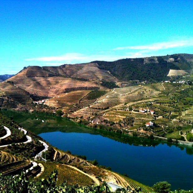 Porto's stunning Douro valley. What a view!