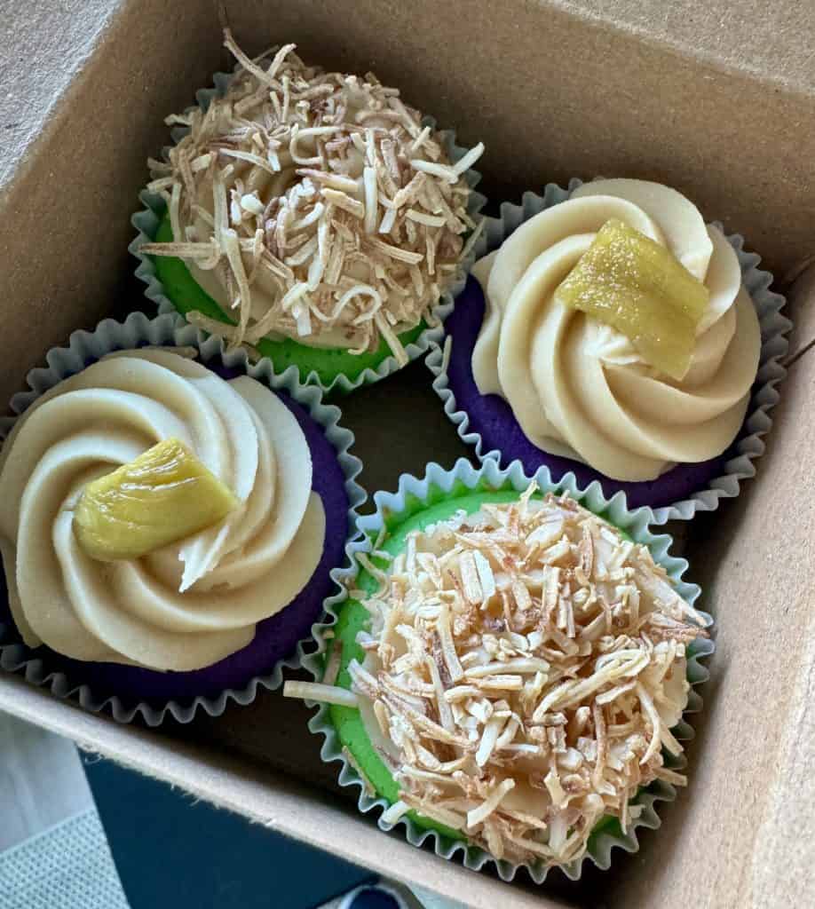 Kokoro gluten free cupcakes and japanese cheesecake in Ottawa