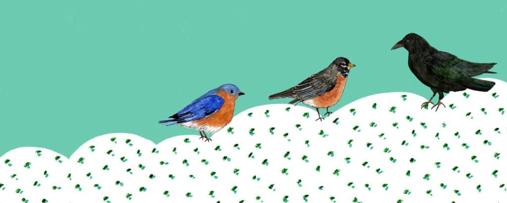 patreon jodi ettenberg