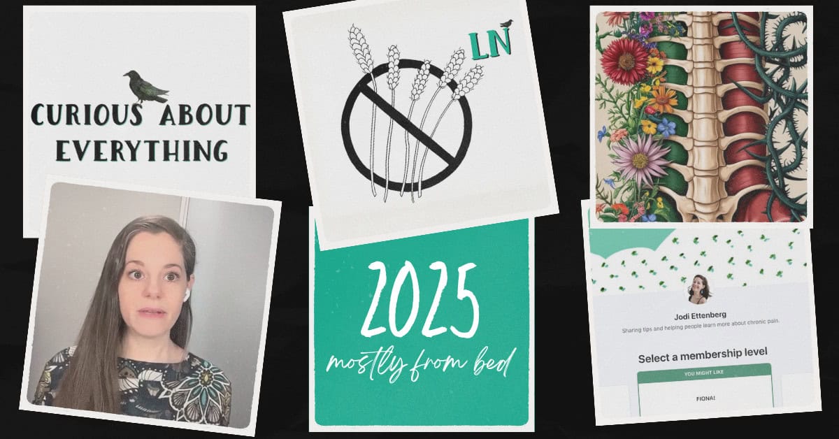 What I did in 2025, mostly from bed